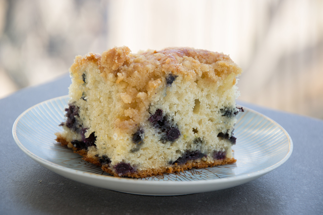 Blueberry Coffee Cake - Chateau Elma